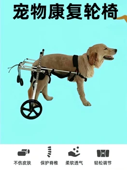 Обучение реабилитации задних конечностей в инвалидной коляске для средних и крупных собак При спондилите параличе, инвалидность Вспомогательный кронштейн для задней ноги собаки