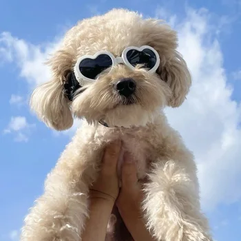 Pet Love Goggles Солнцезащитные Очки Летняя Мода Анти-Уф Ветрозащитные Очки Для Собак Cat Dog Универсальные Аксессуары Для Собак Французского Бульдога Бишона