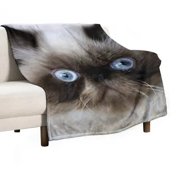 Плед с забавным котом, плед на диван, покрывало для дивана