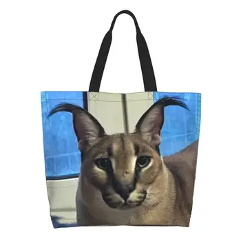 Большая дискета, забавный мем, сумка для покупок продуктов, женская сумка-тоут, забавный каракалевый кот, холщовые сумки для покупок, сумки через плечо, сумки большой емкости