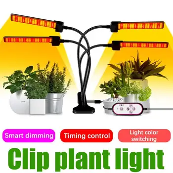 Полный Спектр Растительного Света LED Семена Цветов Фитолампа Для Растений Grow Light UK EU US Plug Внутренняя Фитолампа Гидропоника Fitolampy